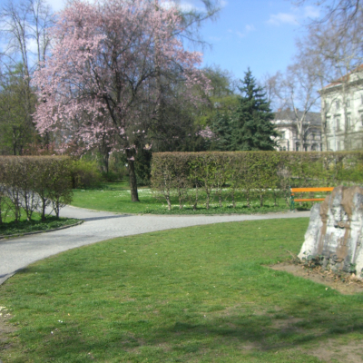 Gralis Bild