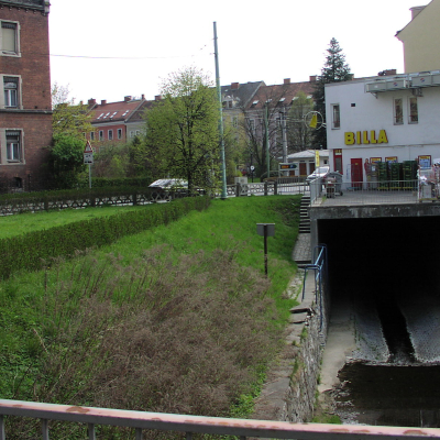 Gralis Bild