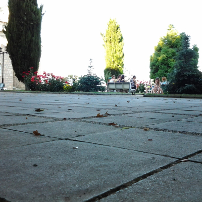 Gralis Bild