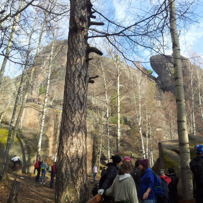 Gralis Bild